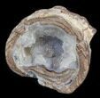 Crystal Filled Dugway Geode (Polished Half) #38871-2